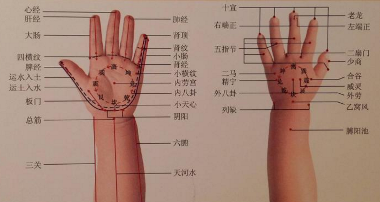 廣州小兒推拿培訓(xùn)課程